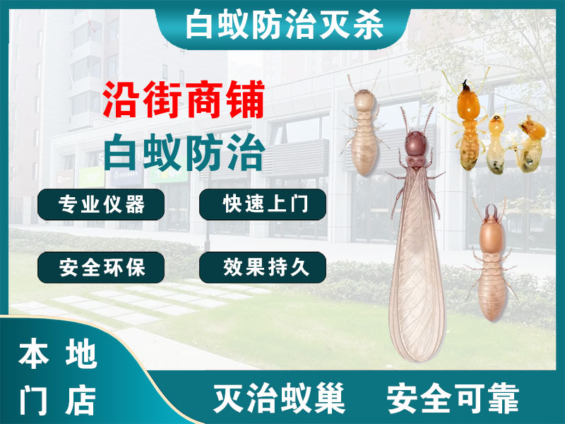 秀洲沿街商铺白蚁防治