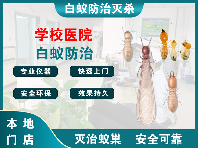 秀洲学校医院白蚁防治