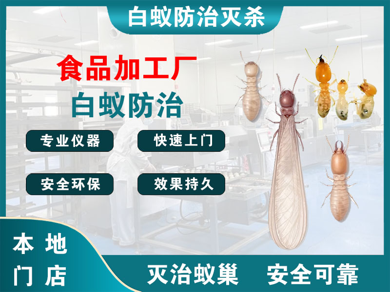 秀洲食品加工厂白蚁防治