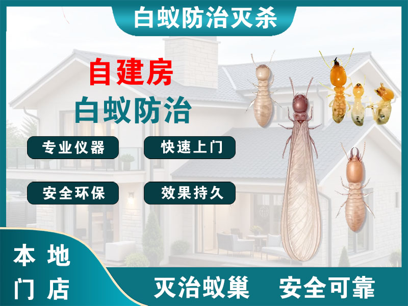 秀洲自建房白蚁防治