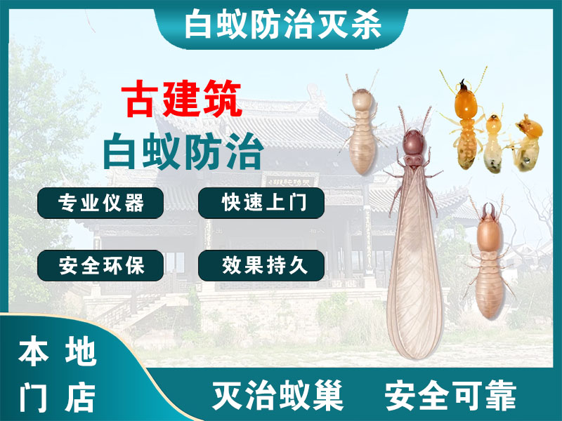 秀洲古建筑白蚁防治