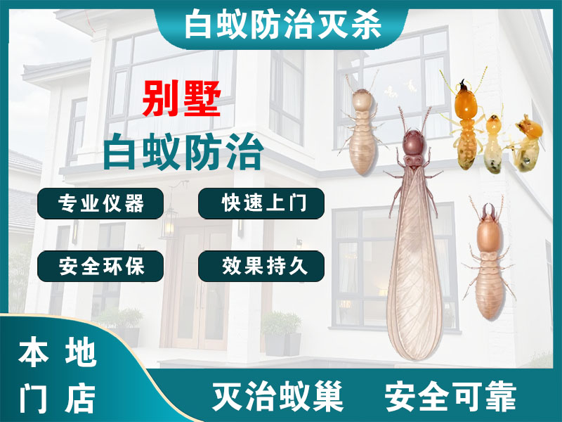 秀洲别墅白蚁防治